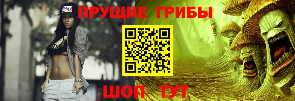 Галлюциногенные грибы мицелий Калуга